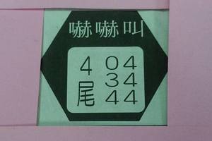 3/19穩達達3中1>>>>六合彩參考看