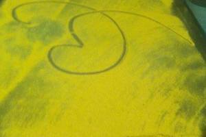 3/19神明牌>>>參考看看