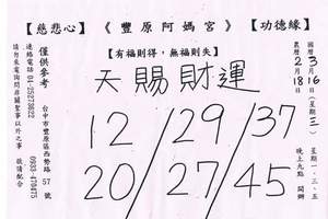 3/19豐原阿媽宮>>>六合彩參考看看