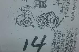 3/19北斗虎爺>>>六合彩參考看