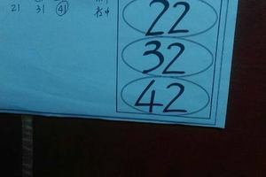 3/19阿田師養牌三期內>>>>六合彩參考