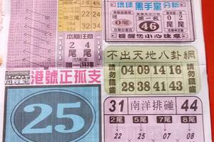 3/19中國新聞報>>>>六合彩參考看