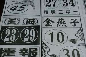 3/19石頭公>>>>六合彩參考看