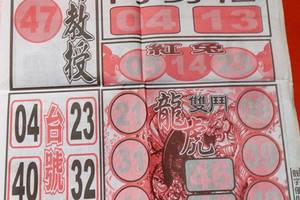 3/19龍報>>>六合彩參考看看