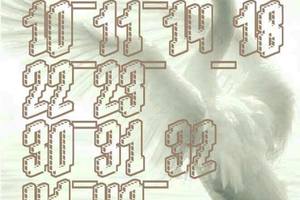 3/19六合彩低G參考看>>>>不保證開