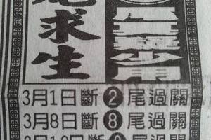 3/19本期3尾>>>六合彩參考看