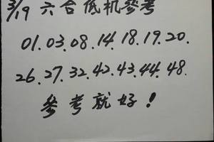 3/19六合彩低機參考