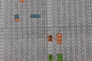 3/19六合彩版路參考看>>>無絕對