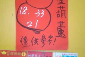 3/19金葫蘆>>>六合彩參考看