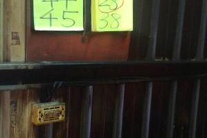 3/19穩穩贏>>>六合彩參考