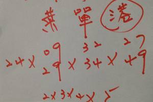 3/19六合彩參考看