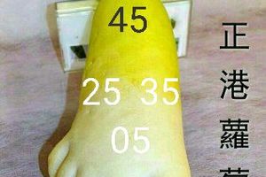 3/19香港鐵5尾>>>六合參考