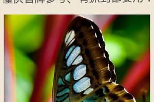 3/19六合彩低G參考