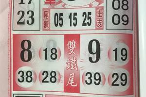 3/19今彩539參考看