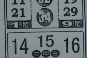 3/19今彩539參考看