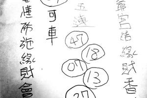 3/19東爺宮>>>六合彩參考看看