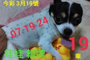 3/19今彩539參考看看