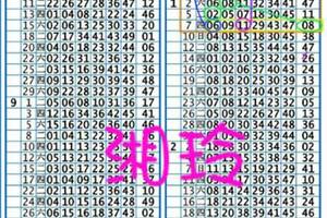 3/19六合彩版路參考看>>>祝大家中獎