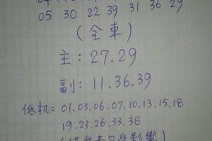 3/19今彩539參考看看