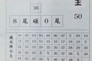 3/19冠天王>>>六合彩參考看