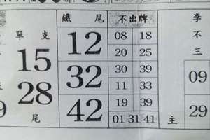 3/19六合彩單支9尾>>>參考看