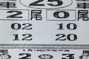 3/19虎爺>>>>六合彩參考看