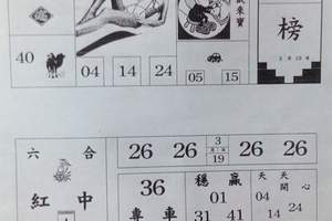 3/19狀元榜>>>>六合彩參考看