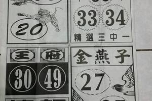 3/22石頭公>>>>六合彩參考看看