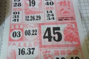 3/22大樹公>>>六合彩參考看看