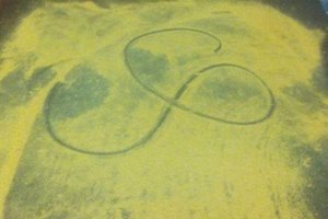 3/22神明牌*****六合彩參考看