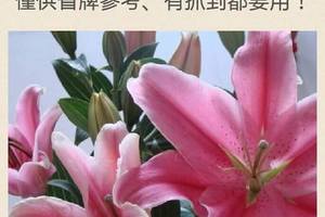 3/22六合彩低G參考看看>>>祝大家發大財