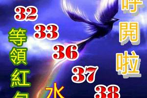3/21今彩539參考看看>>>>等領紅包