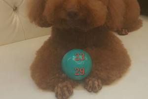 3/21今彩539看看就好>>>>無絕對