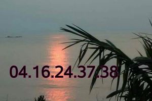 3/21今彩539參考看