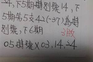 3/22六合彩參考看看