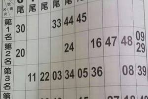 3/22上賢居士紫葳斗數******六合彩參考看>>>>最佳主支精選