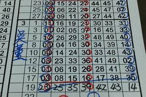 3/22六合彩版路參考看>>>>祝大家今年發~發~發~48坐車參考看