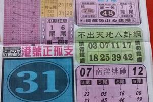3/22中國新聞報********六合彩參考