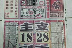 3/22石頭公*******六合彩參考