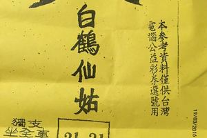 3/22白鶴仙姑>>>>六合彩參考看