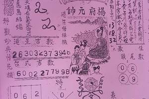 3/22代天宮>>>>六合彩參考看