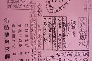 3/24七仙姑>>>>六合彩參考看