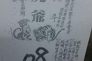 3/22北斗虎爺>>>>>六合彩參考看