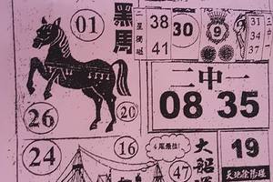 3/22黑馬>>>>六合彩參考看