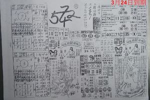 3/24六合彩參考看