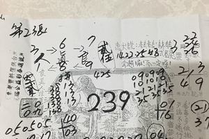 3/24第二張香港九龍園>>>>六合彩參考看