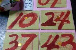 3/24台中聖玄宮>>大里~六合彩參考看