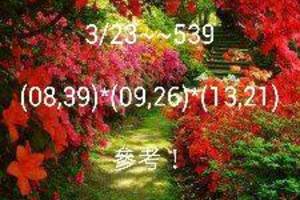 3/23今彩539參考看