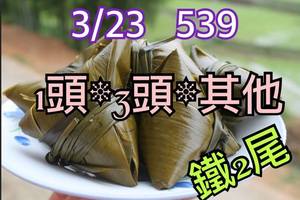 3/23今彩539參考看