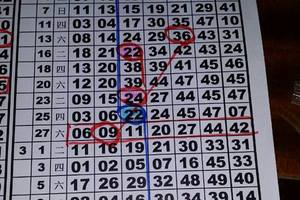 3/24六合版路參考看>>>>出不出看天意